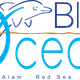 Blue Ocean Abu Dabbab