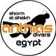 Anthias Divers