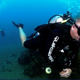 Panama Divers Inc.