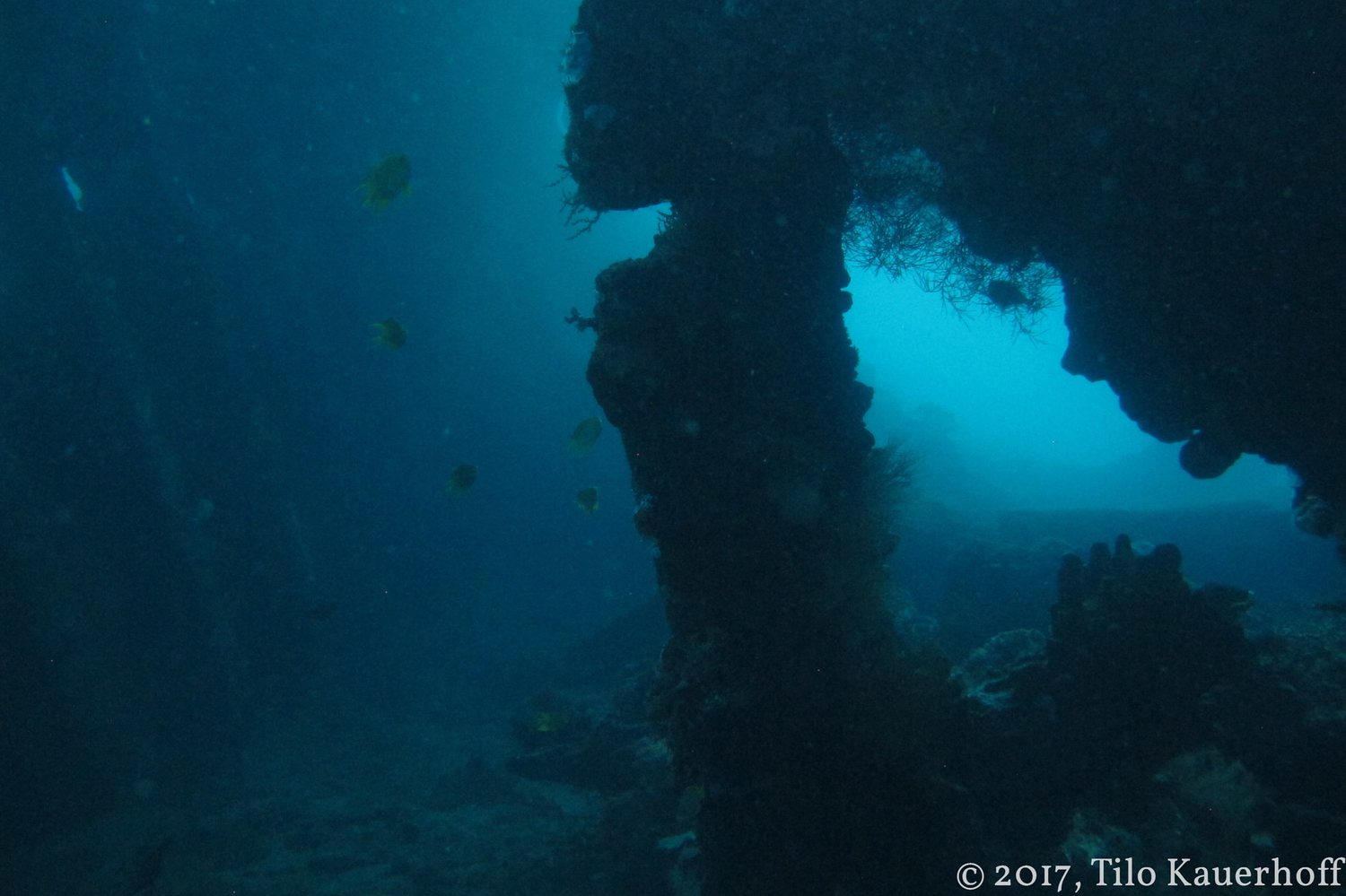 The USAT Liberty wreck at Tulamben, Bali, overgrown with coral