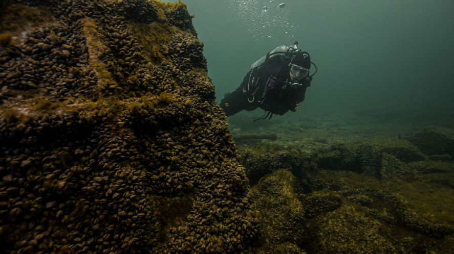 Diver exploring a preserved wooden shipwreck in Lake Ontario National Marine Sanctuary