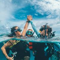Ocean Turtle Diving
