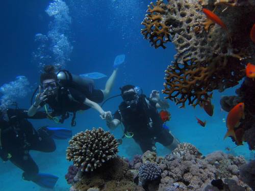 Lak Scuba