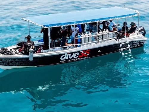 Dive36