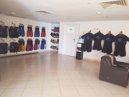 Sea College Dive Club