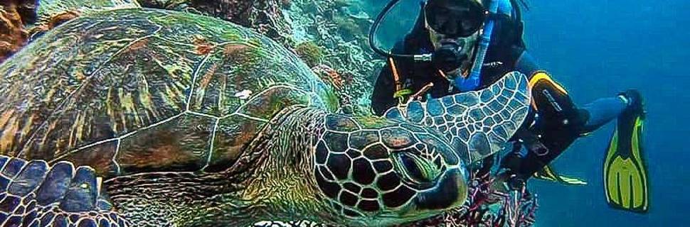 Cebu Fun Divers