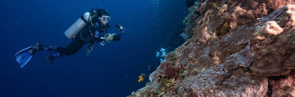 Compass Diving