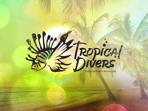 Tropical Divers Panglao