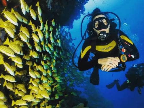 Divers Paradise Komodo