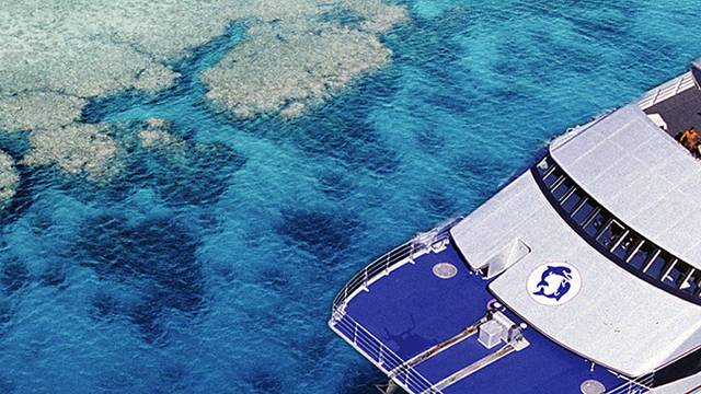 Spoilsport Liveaboard