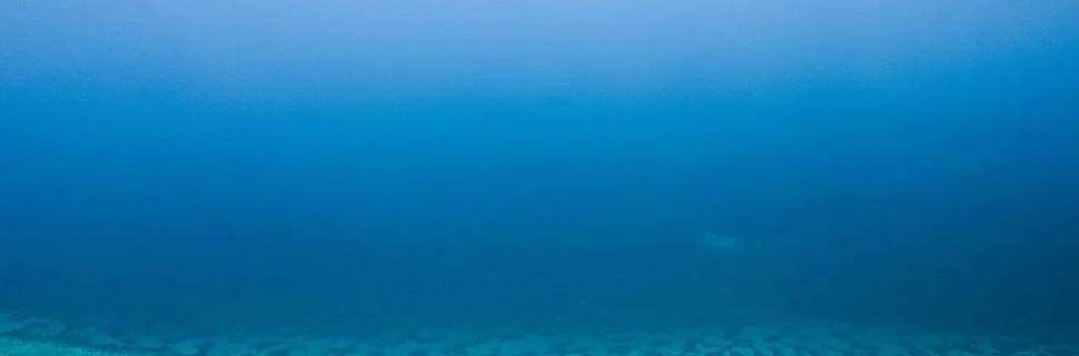 Prodivers Jawakara