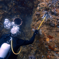 Scuba Panama