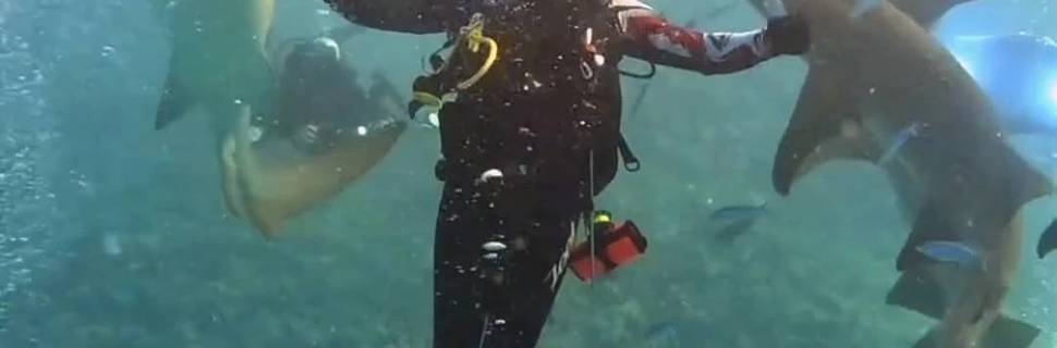 Masktank Scuba