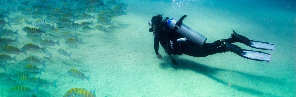 Tauchschule Divecrew Berlin