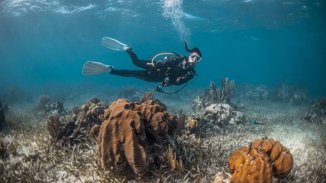 Juara Scuba Academy (Tioman)