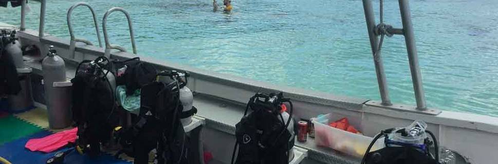 Blue Mystic Divers