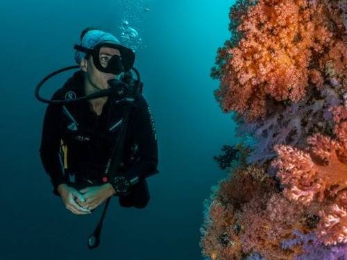 Dive Butler Finolhu