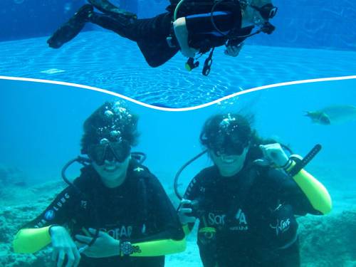 Rhea Dive Center