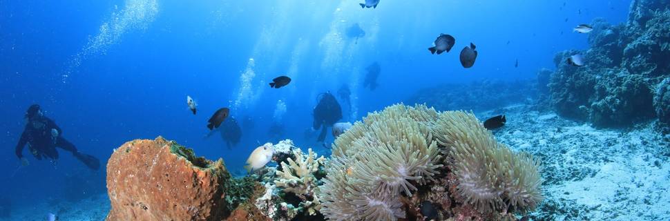 Laguna Gili Dive Center