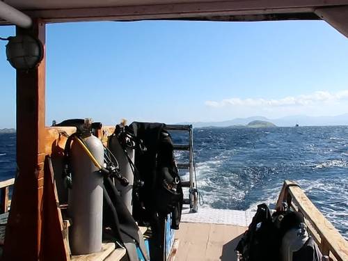 Bajo Dive Club