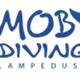 Moby Diving