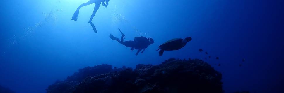 OKINAWA DIVING SERVICE Lagoon