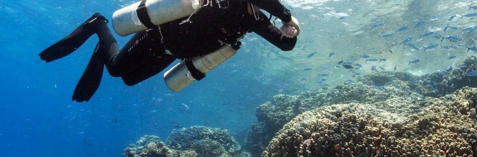 Aquanaut Scuba & Snorkelling Centre Ltd
