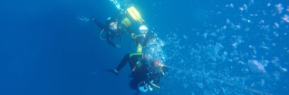 Bully Diving - Cala del Principe