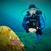 Last Frontier Diving & Adventures LLC
