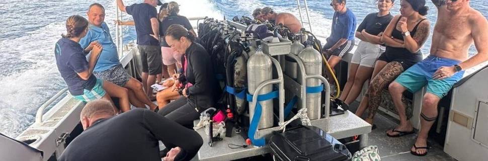Whitsunday Dive Adventures