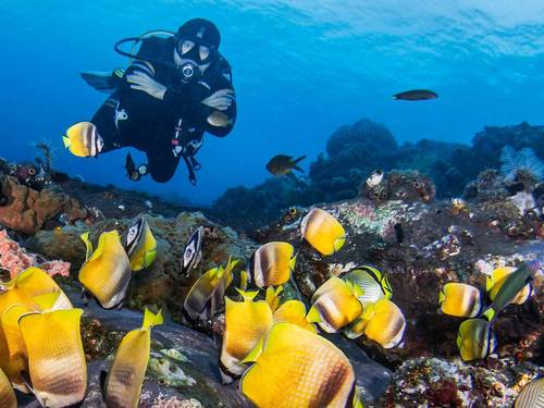 Let's Dive Tulamben