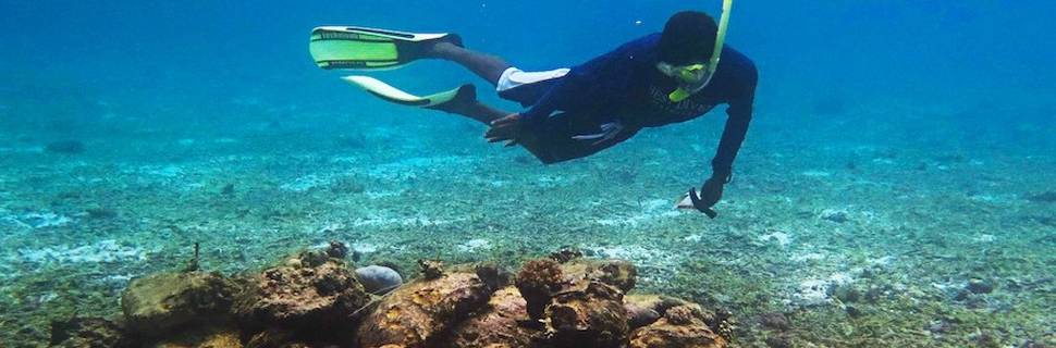Best Dives Centara Mirage Lagoon