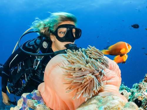 Grand Bay of the Sea, Grand Sirenis, Dive Center
