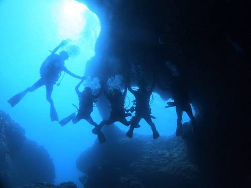 DIVING SHOP TRITON