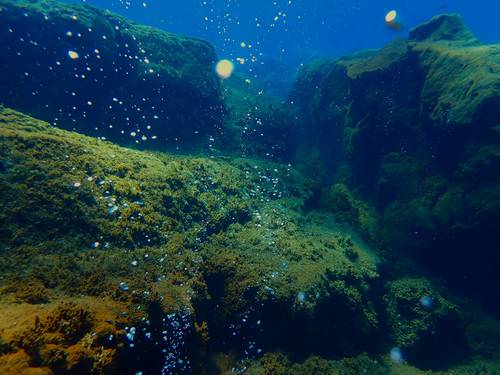 Volcano Bubbles Diving School