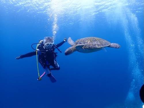 DIVING SHOP BLUE BLUE AKASHI
