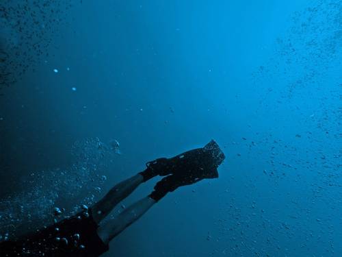 Pristine Paradise Dive Resort