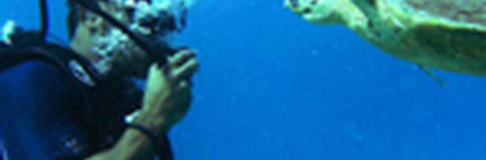 Dive-Hurghada