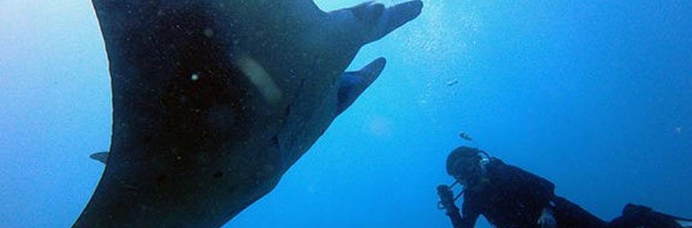Bali View Dive Center