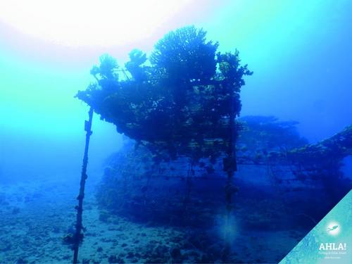 Ahla Diving Club PADI 5 STAR IDC