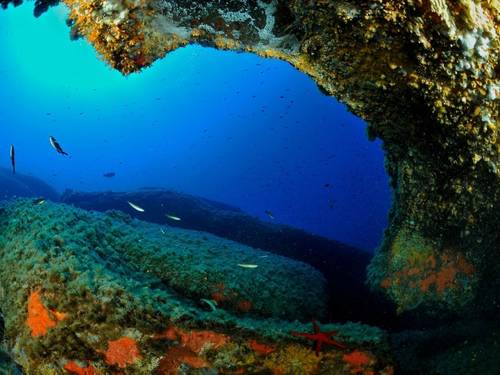 Explorers Team Dive Center