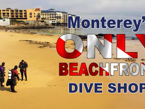 Monterey Bay Scuba