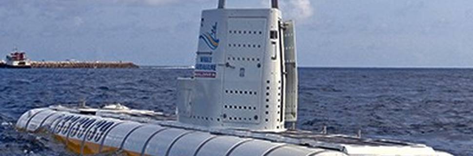 Whale Submarine
