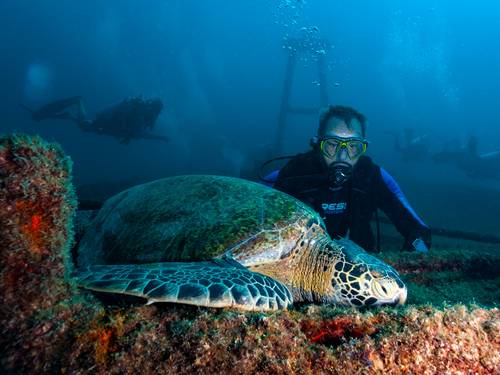 Carey Dive Center