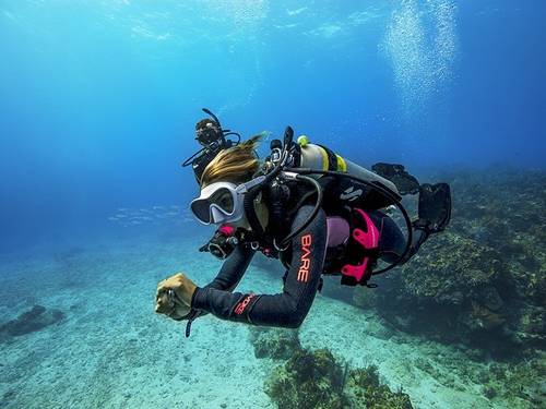 Dragon Dive Komodo Dive Resort