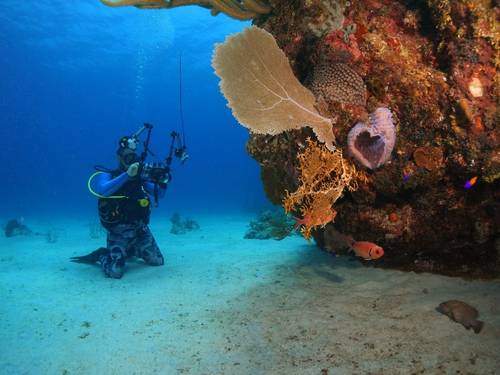 Bacunayagua Reef Dive With Varadiving