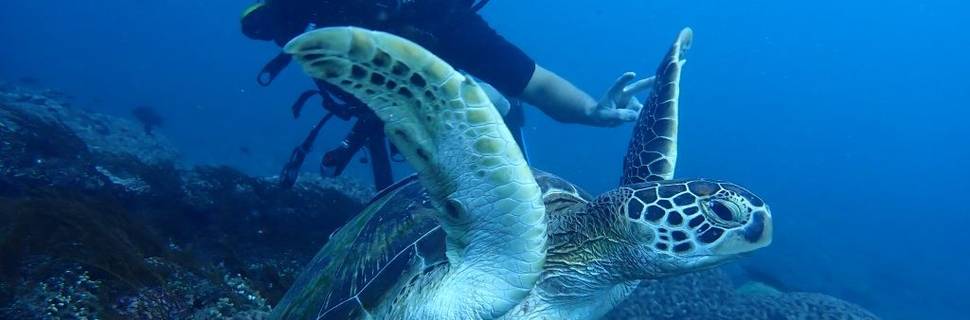Nusa Dua Dive Centre