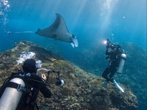 Ocean Dive League IDC center