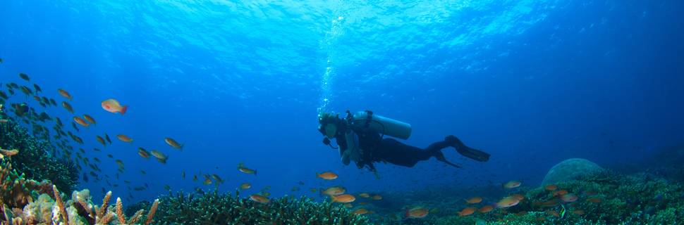 Pocna Dive Center