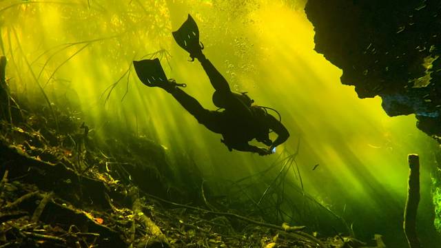 Diveworld